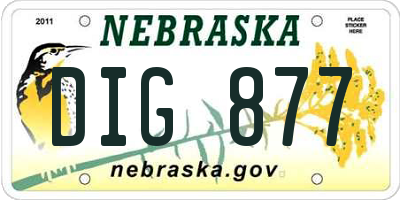 NE license plate DIG877