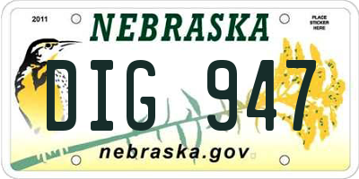 NE license plate DIG947