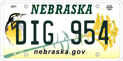 NE license plate DIG954