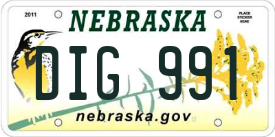 NE license plate DIG991