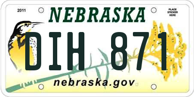 NE license plate DIH871