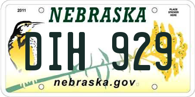 NE license plate DIH929