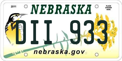 NE license plate DII933