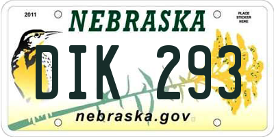 NE license plate DIK293