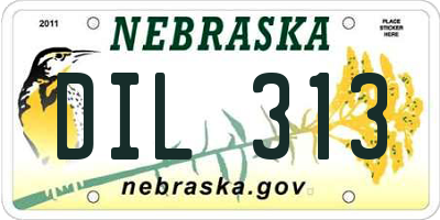 NE license plate DIL313