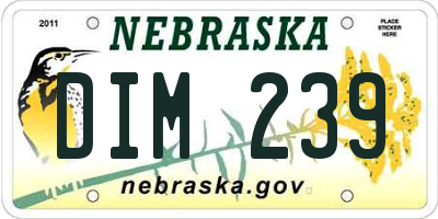 NE license plate DIM239