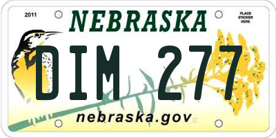 NE license plate DIM277
