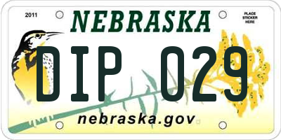 NE license plate DIP029