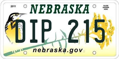 NE license plate DIP215