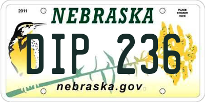 NE license plate DIP236