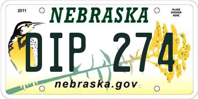 NE license plate DIP274