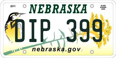 NE license plate DIP399