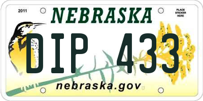 NE license plate DIP433