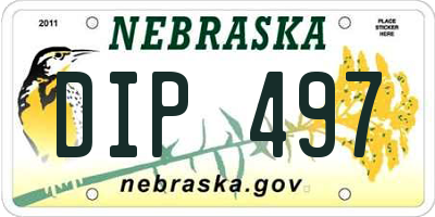 NE license plate DIP497
