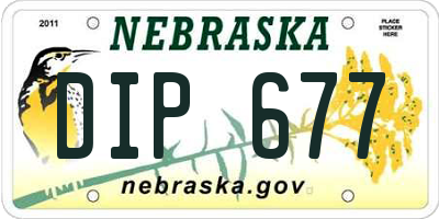 NE license plate DIP677