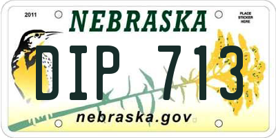 NE license plate DIP713
