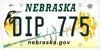 NE license plate DIP775