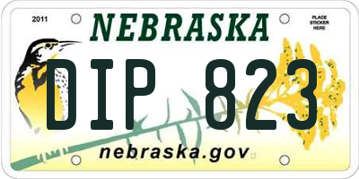 NE license plate DIP823