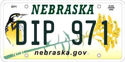 NE license plate DIP971