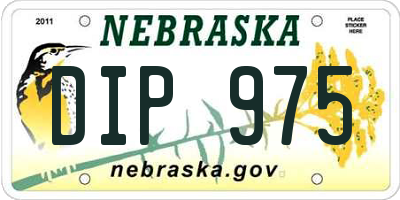 NE license plate DIP975
