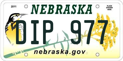 NE license plate DIP977