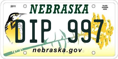 NE license plate DIP997