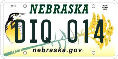 NE license plate DIQ014