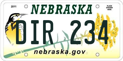 NE license plate DIR234