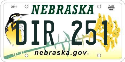 NE license plate DIR251