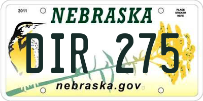 NE license plate DIR275