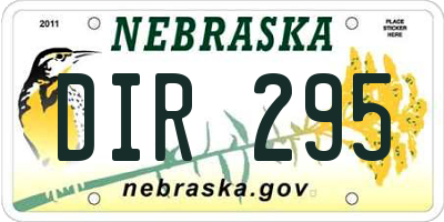 NE license plate DIR295