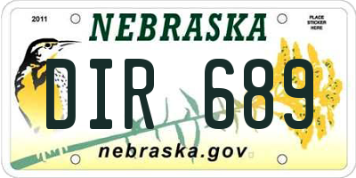 NE license plate DIR689