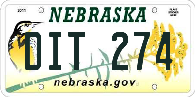 NE license plate DIT274