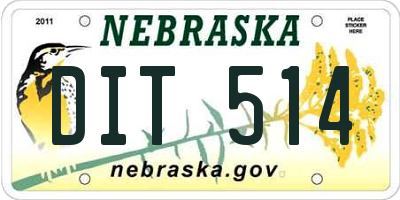 NE license plate DIT514