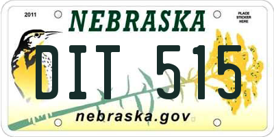 NE license plate DIT515