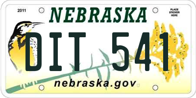 NE license plate DIT541