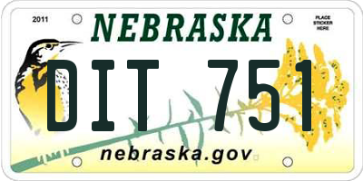 NE license plate DIT751