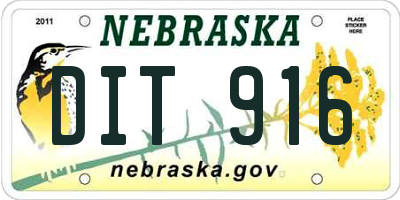 NE license plate DIT916