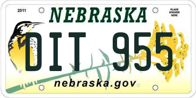NE license plate DIT955