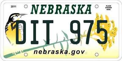 NE license plate DIT975