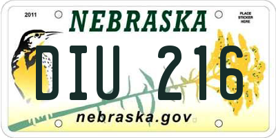 NE license plate DIU216