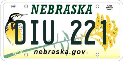 NE license plate DIU221
