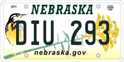 NE license plate DIU293