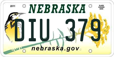 NE license plate DIU379