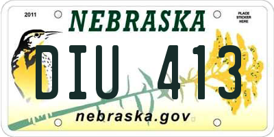 NE license plate DIU413