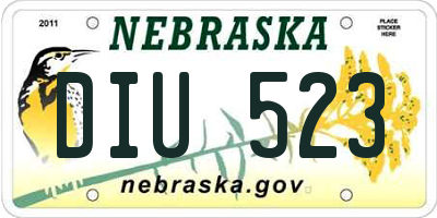 NE license plate DIU523
