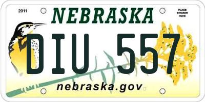 NE license plate DIU557