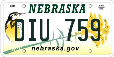NE license plate DIU759