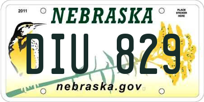 NE license plate DIU829