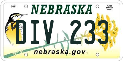 NE license plate DIV233